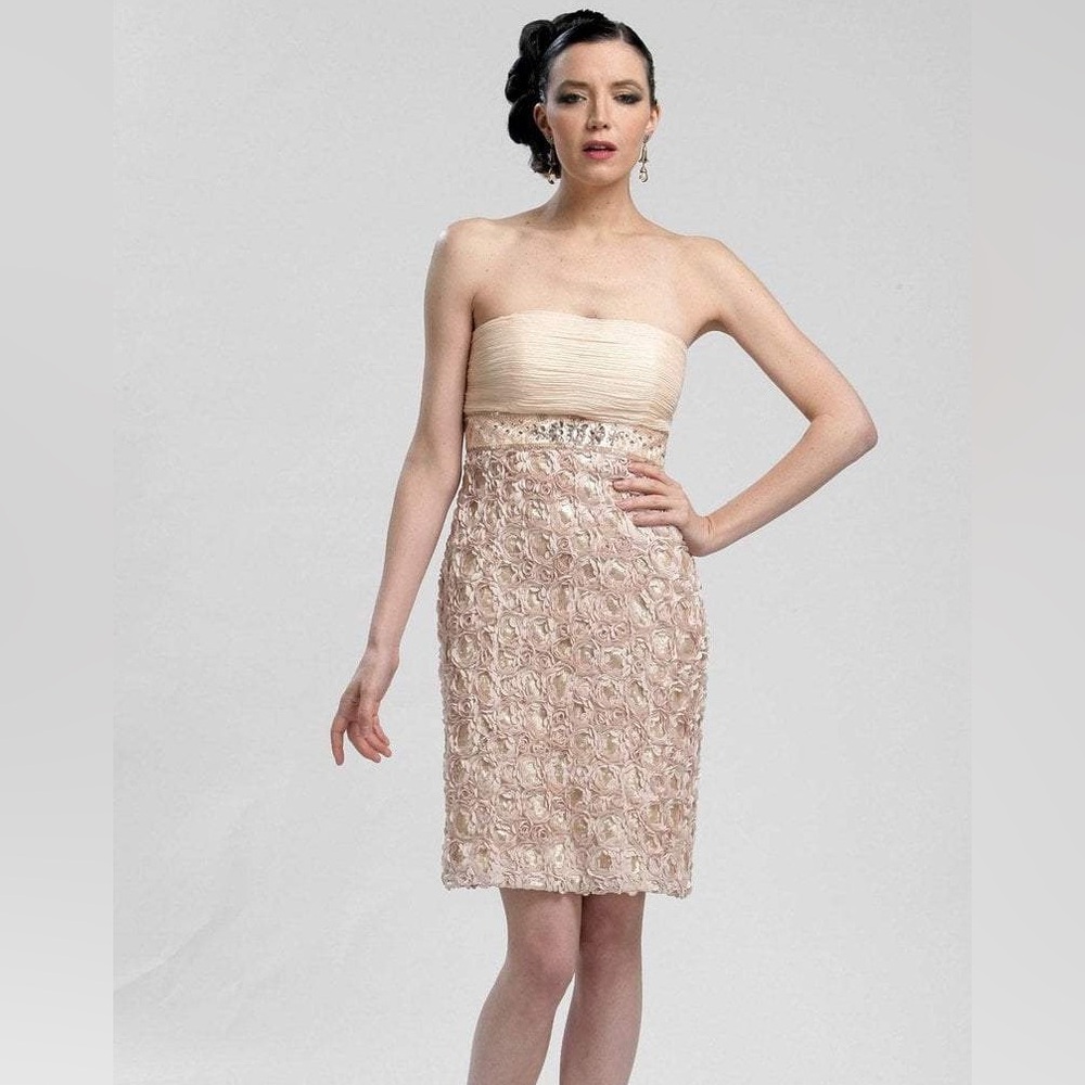 Sue Wong Nocturne Size 4 Dress